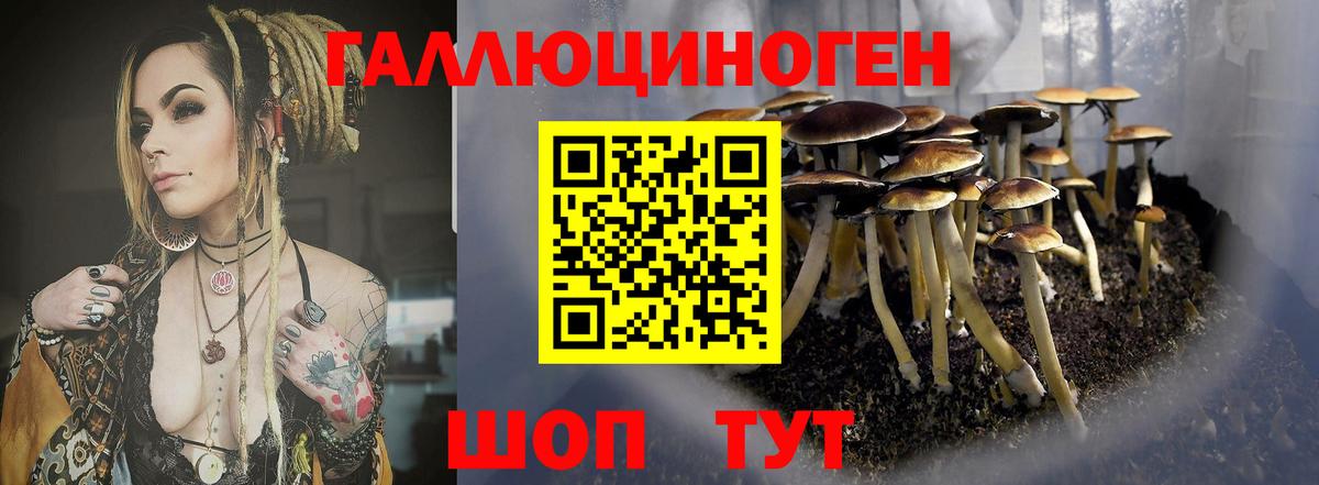 Кудымкар  Псилоцибиновые грибы Magic Shrooms  Вход с VPN 